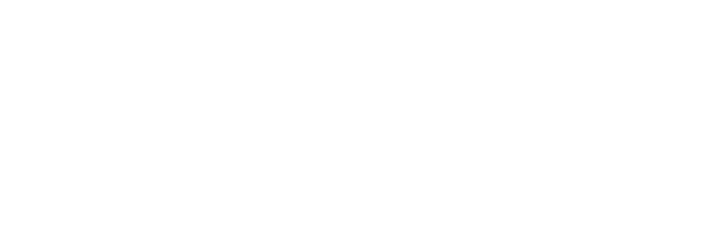 DPV Logistic
